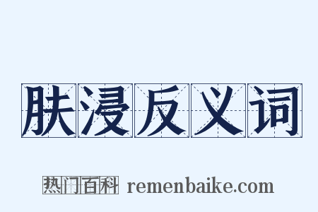 肤浸反义词是什么意思的图片